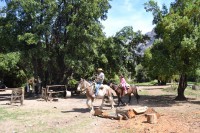 /album/fotogaleria-fotogaleria/dsc-0012-jpg/