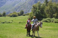 /album/fotogaleria-fotogaleria/dsc-0019-jpg/