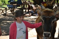 /album/fotogaleria-fotogaleria/dsc-0060-jpg/