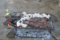 /album/fotogaleria-fotogaleria/dsc-0090-jpg/